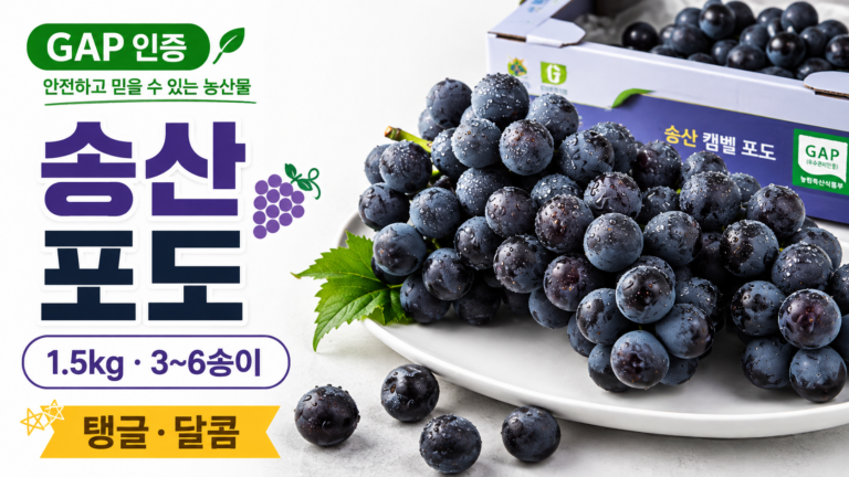 해풍먹고 자란 GAP 인증 송산 포도 1.5kg 3~6송이